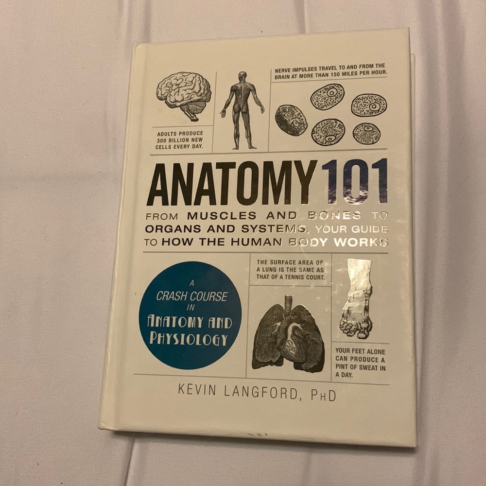 Anatomy 101
